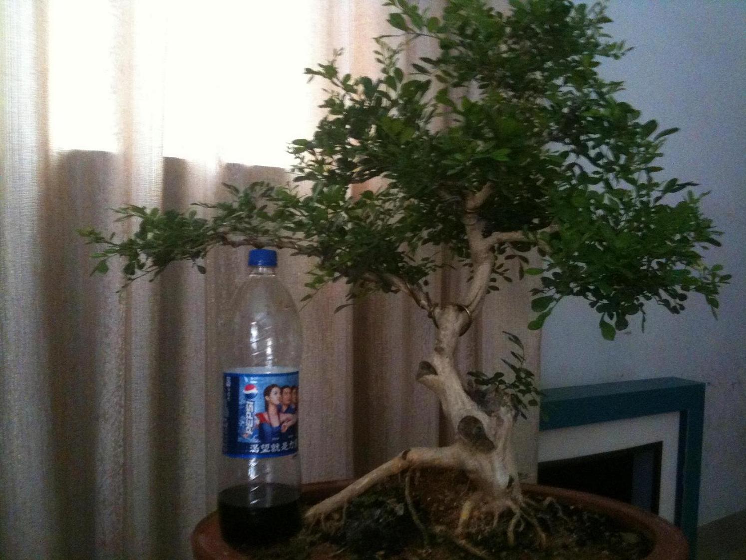 Ƭ 040.jpg