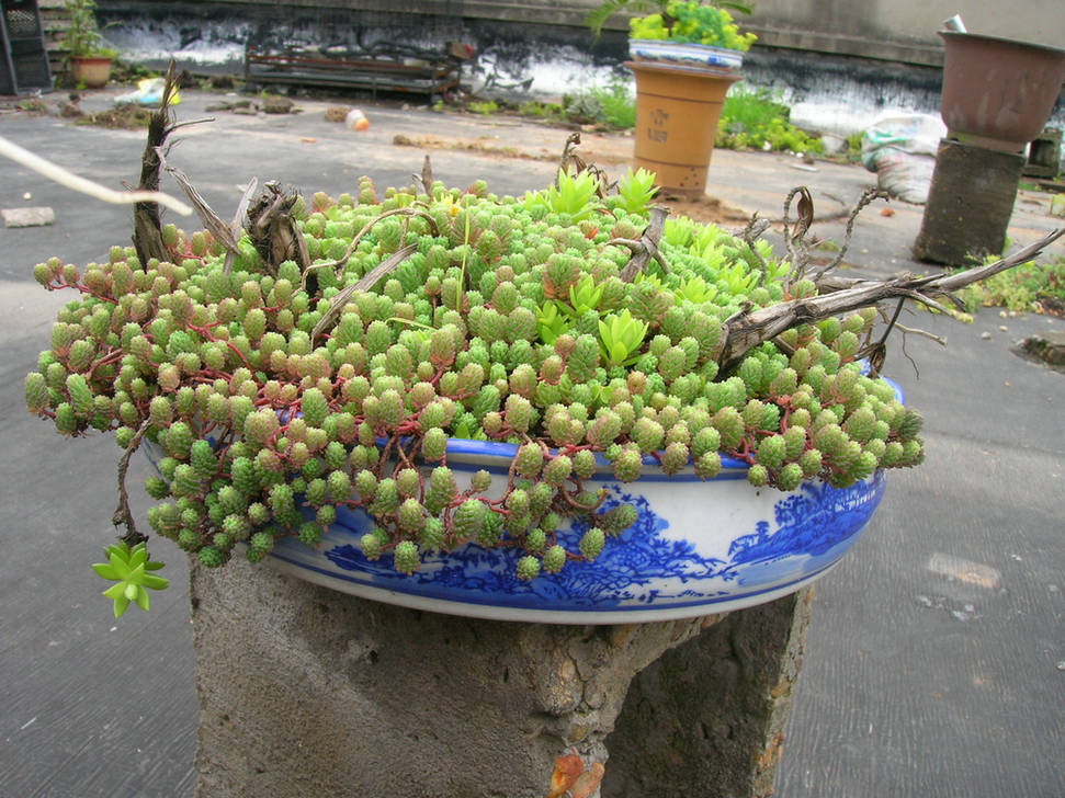 DSCN7676.JPG