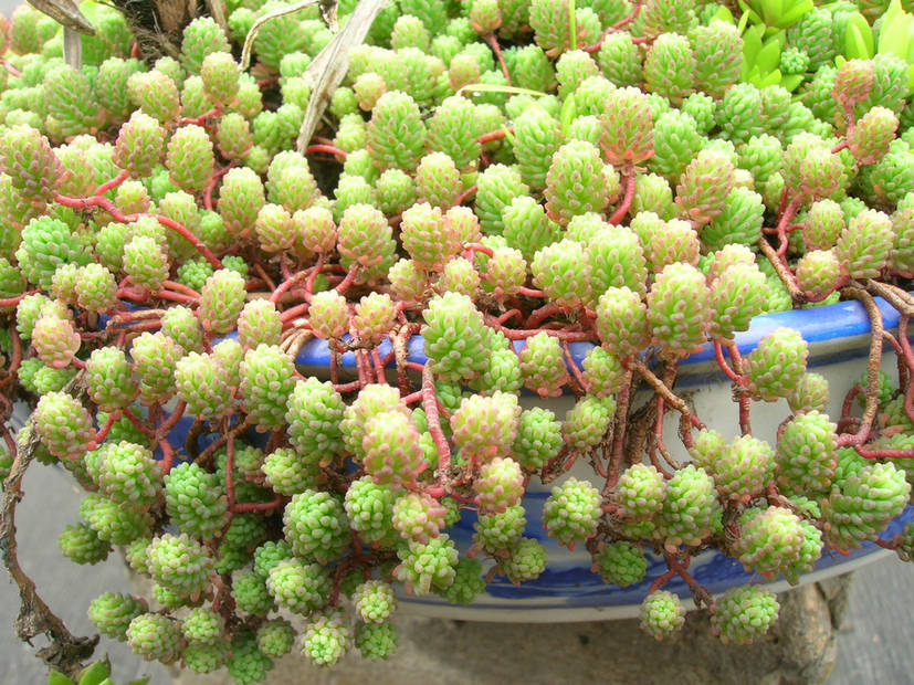 DSCN7677.JPG