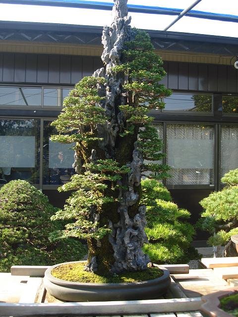 ľ2.JPG