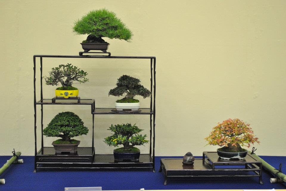 Taikan Ten 2011 006.jpg