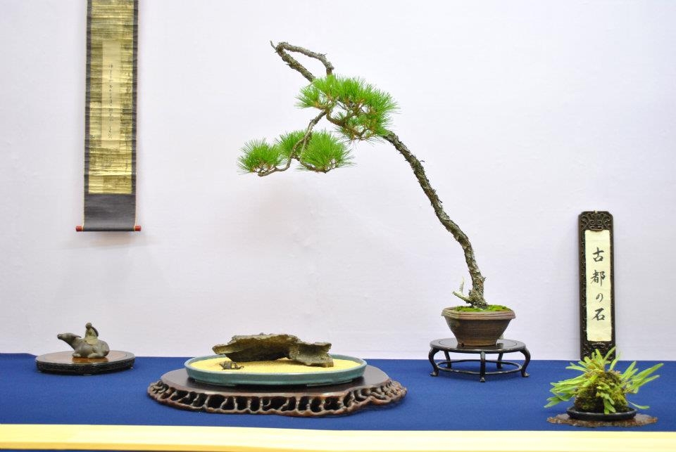 Taikan Ten 2011 007.jpg