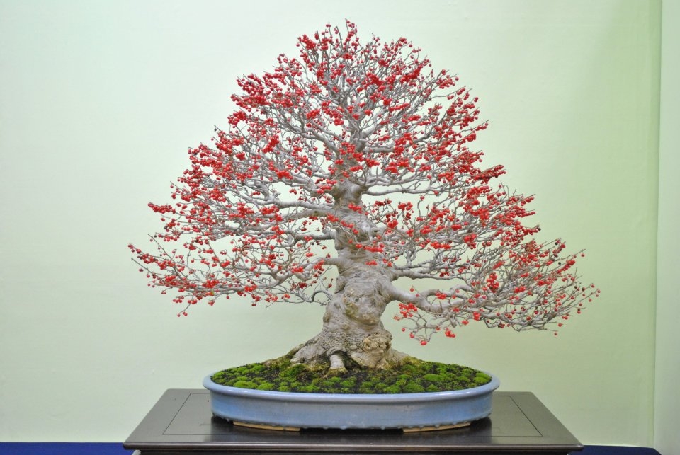 Taikan Ten 2011 008.jpg