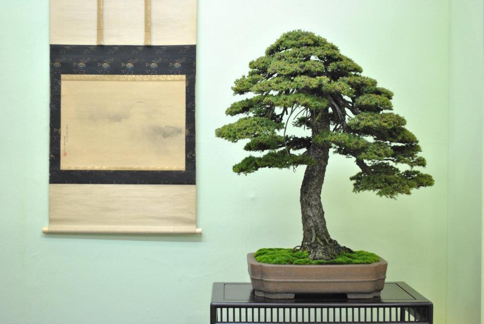 Taikan Ten 2011 009.jpg