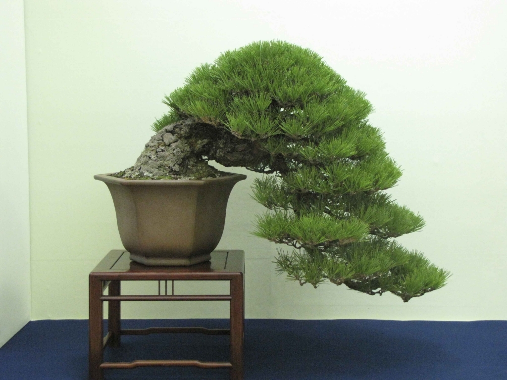 Taikan Ten 2011 013.jpg