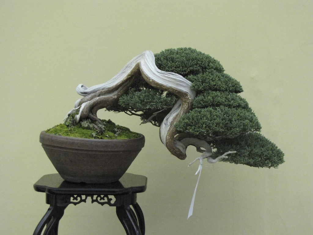 Taikan Ten 2011 014.jpg