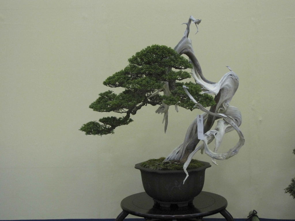 Taikan Ten 2011 016.jpg