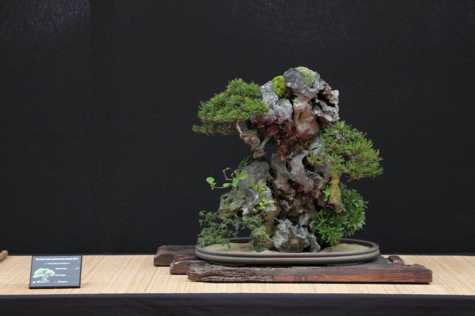 Festival International du Bonsai Saulieu 8 & 9 october 2011 061.jpg