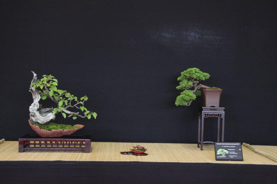 Festival International du Bonsai Saulieu 8 & 9 october 2011 073.jpg