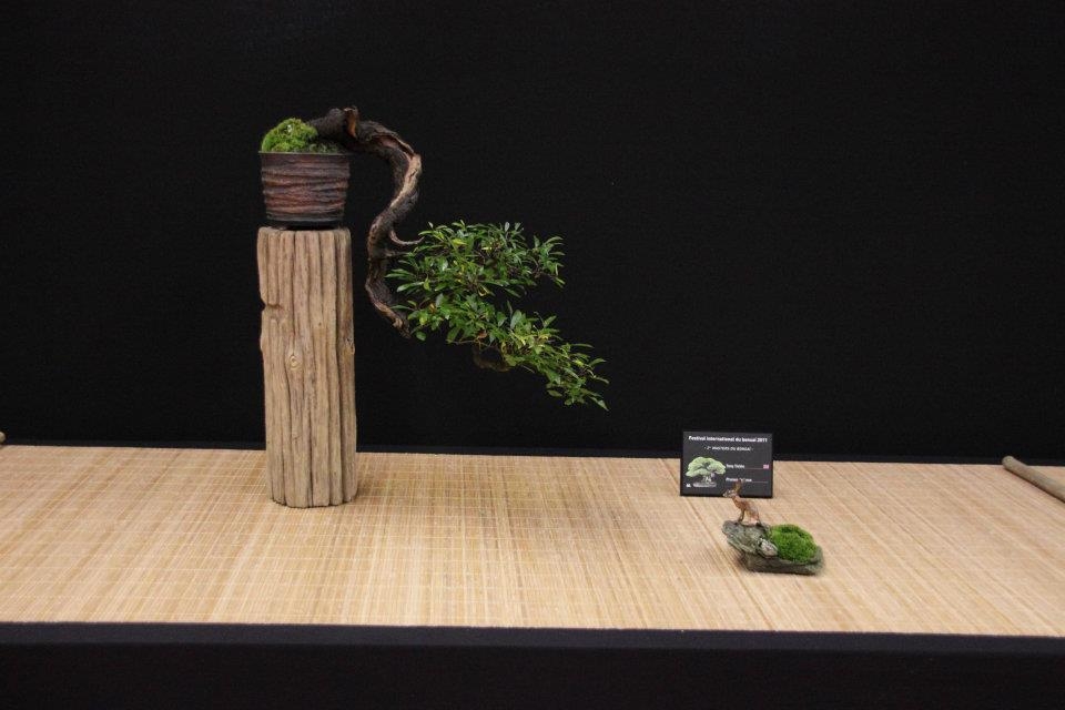 Festival International du Bonsai Saulieu 8 & 9 october 2011 092.jpg
