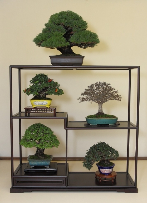 BSA Shohin Off 2011 002.jpg