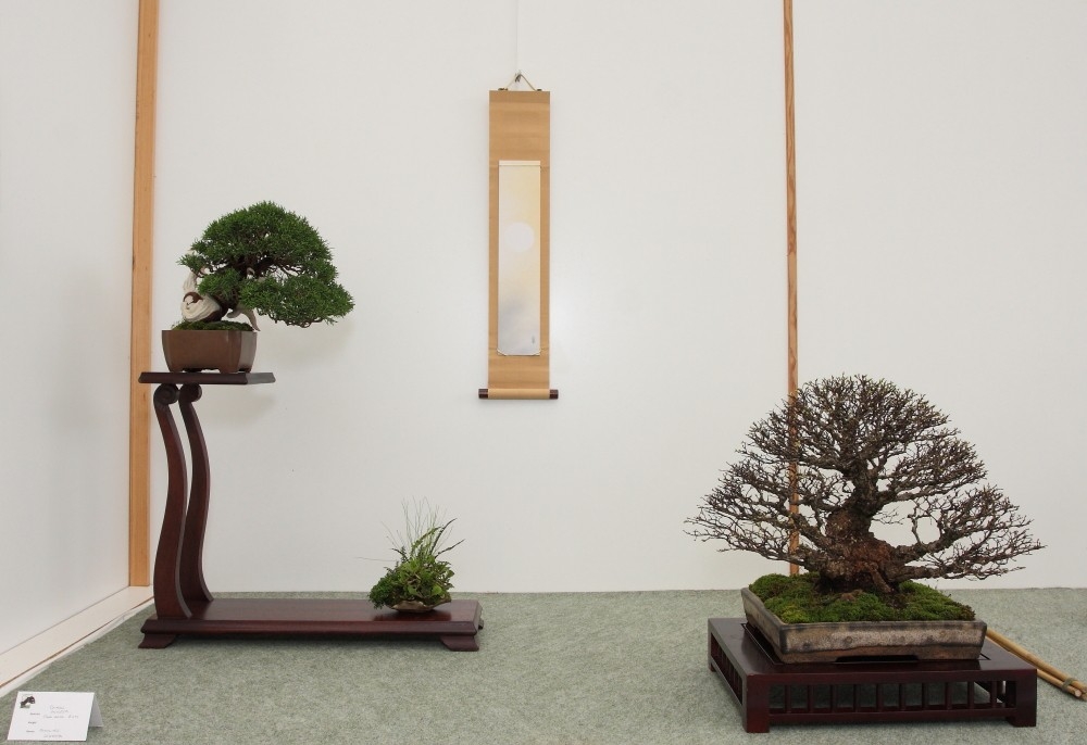 BSA Shohin Off 2011 004.jpg
