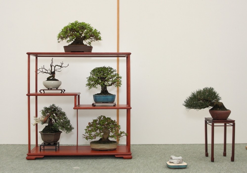 BSA Shohin Off 2011 019.jpg