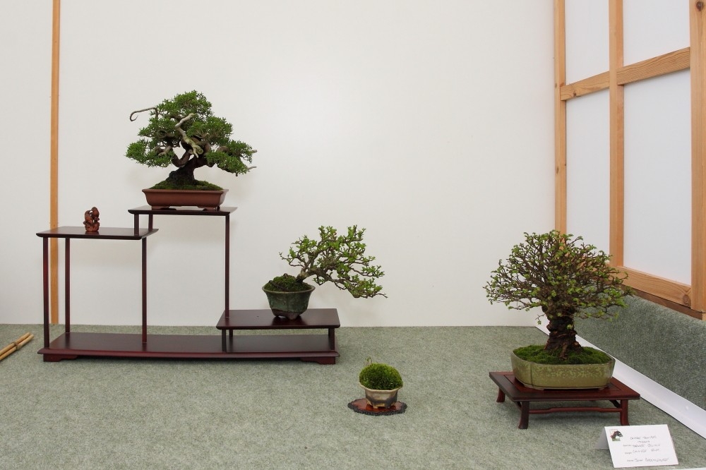 BSA Shohin Off 2011 030.jpg
