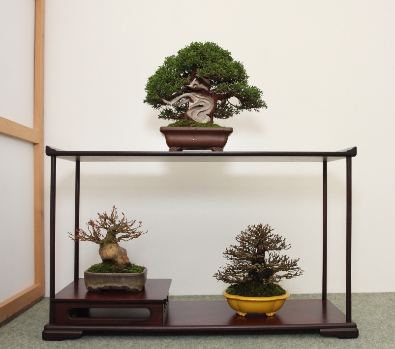 BSA Shohin Off 2011 033.jpg