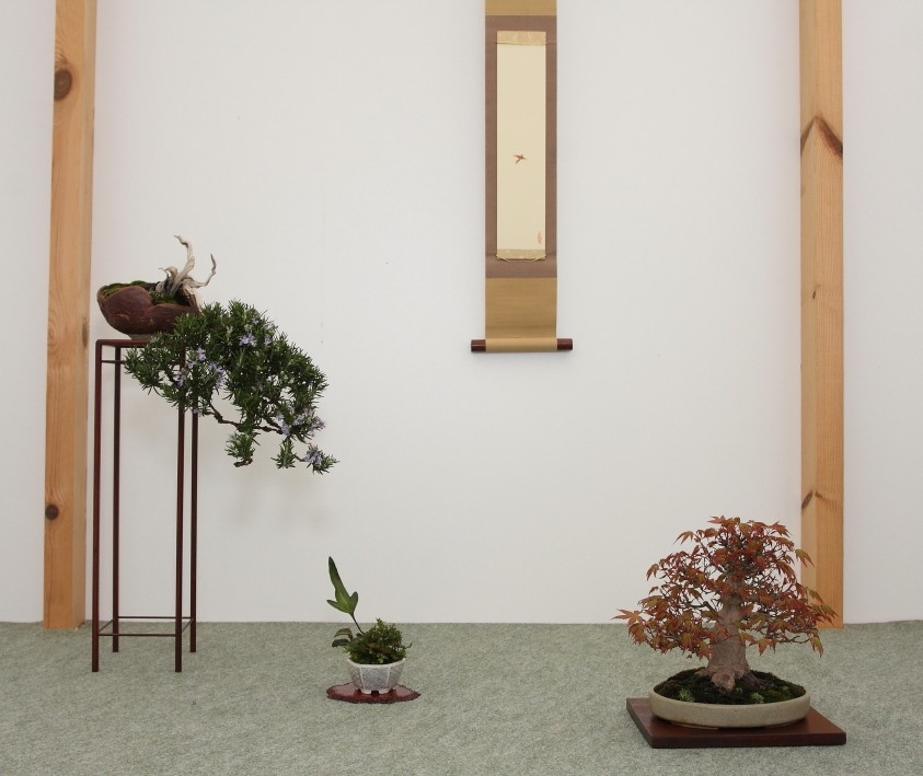 BSA Shohin Off 2011 036.jpg