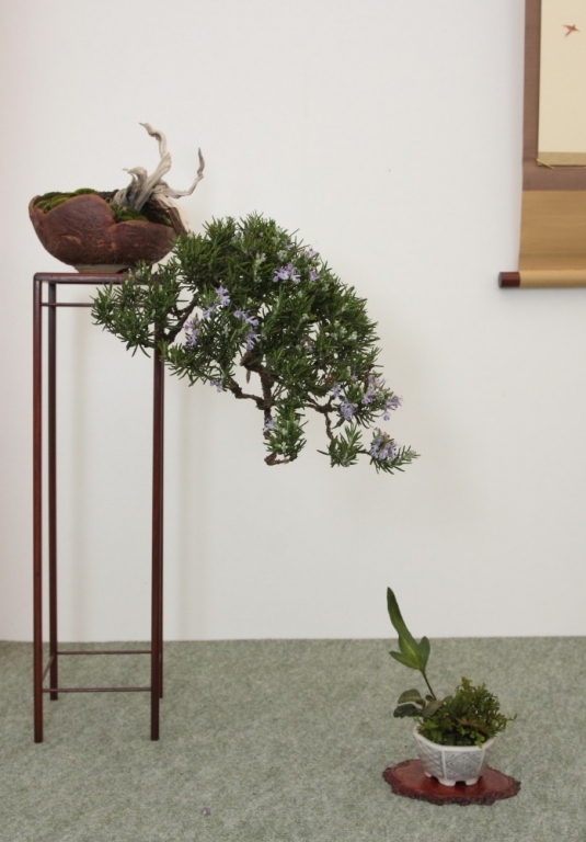 BSA Shohin Off 2011 037.jpg