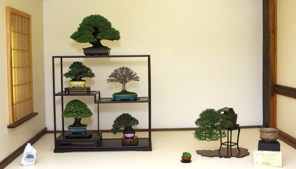 BSA Shohin Off 2011 001.jpg