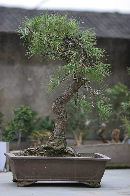 IMG_9784.JPG