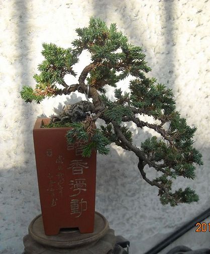 DSCN4454.JPG