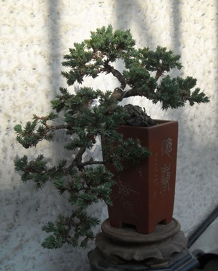 DSCN4452.JPG