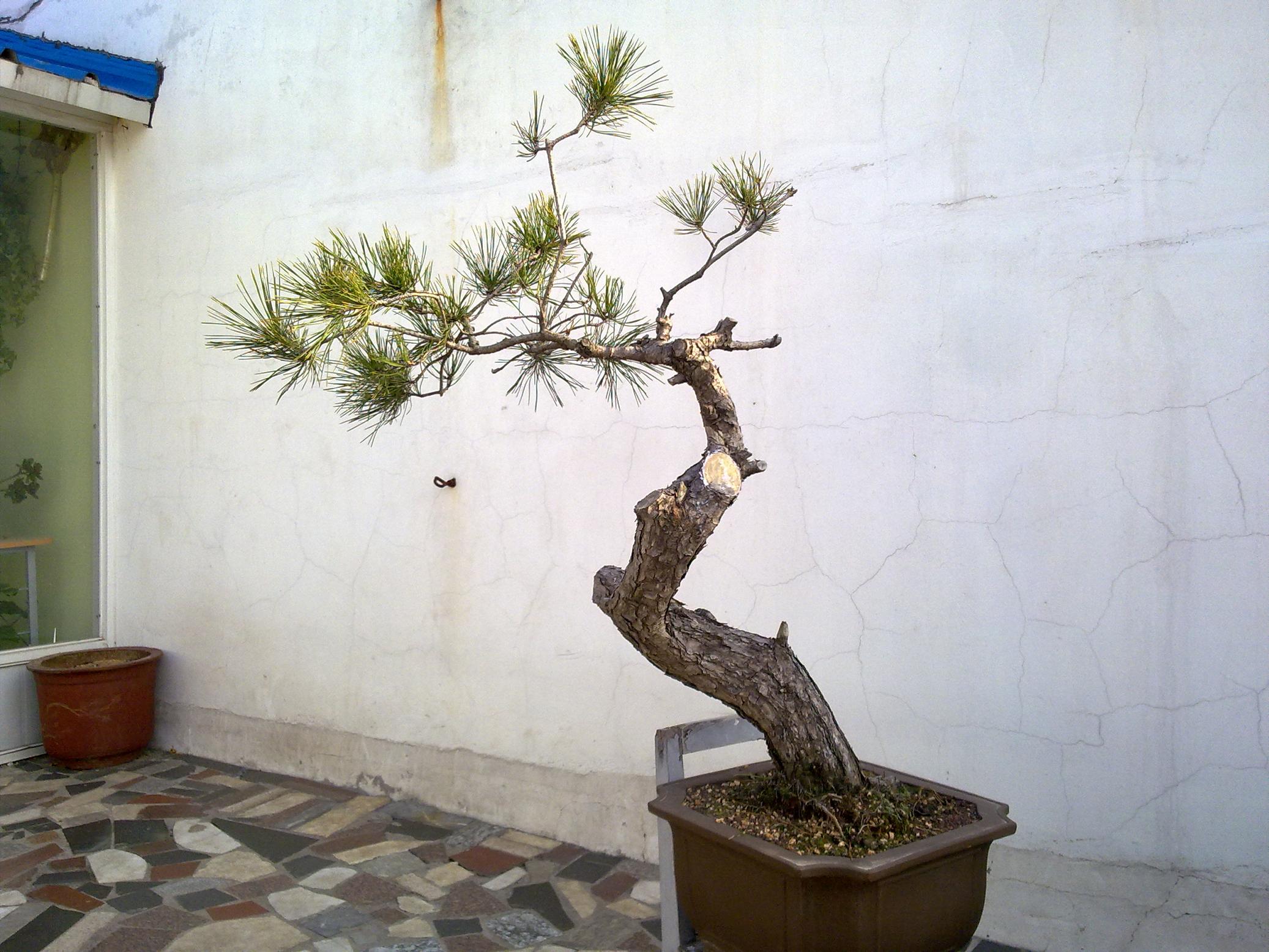 20111212026.jpg