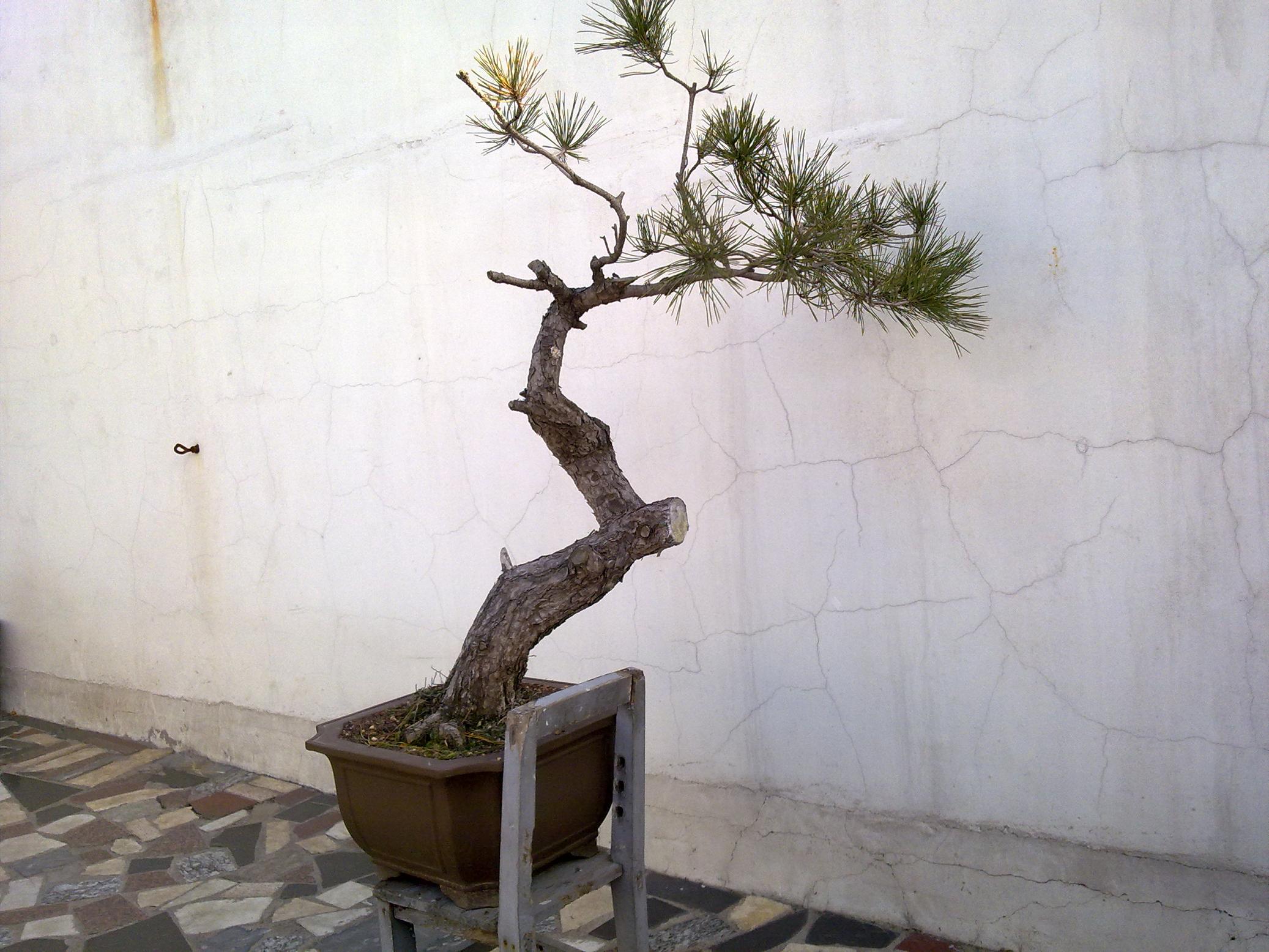 20111212023.jpg