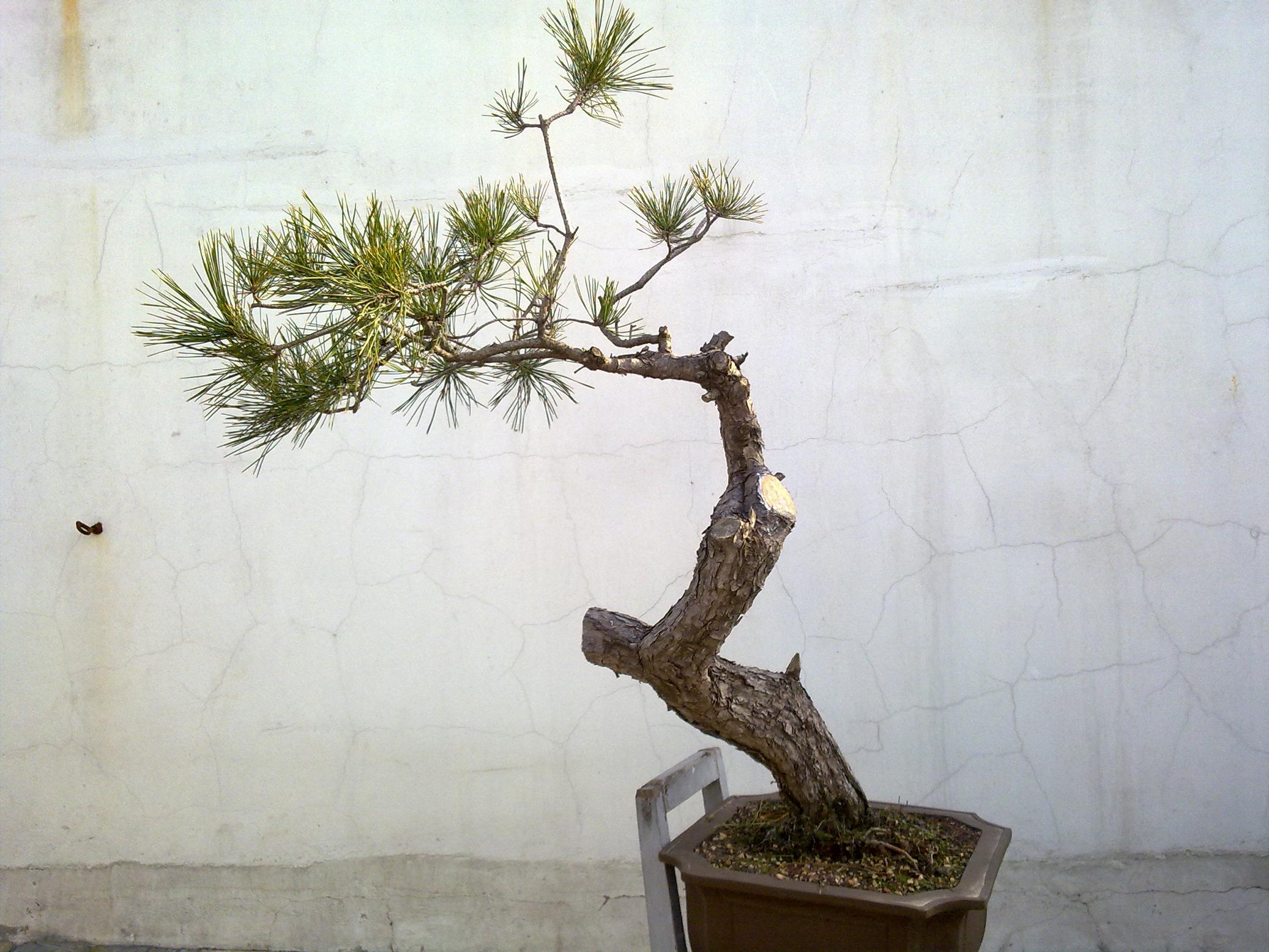 20111212025.jpg