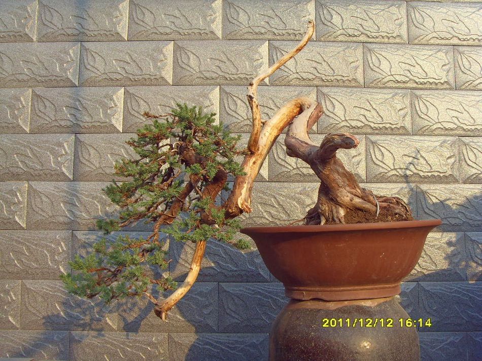 SDC12557.JPG