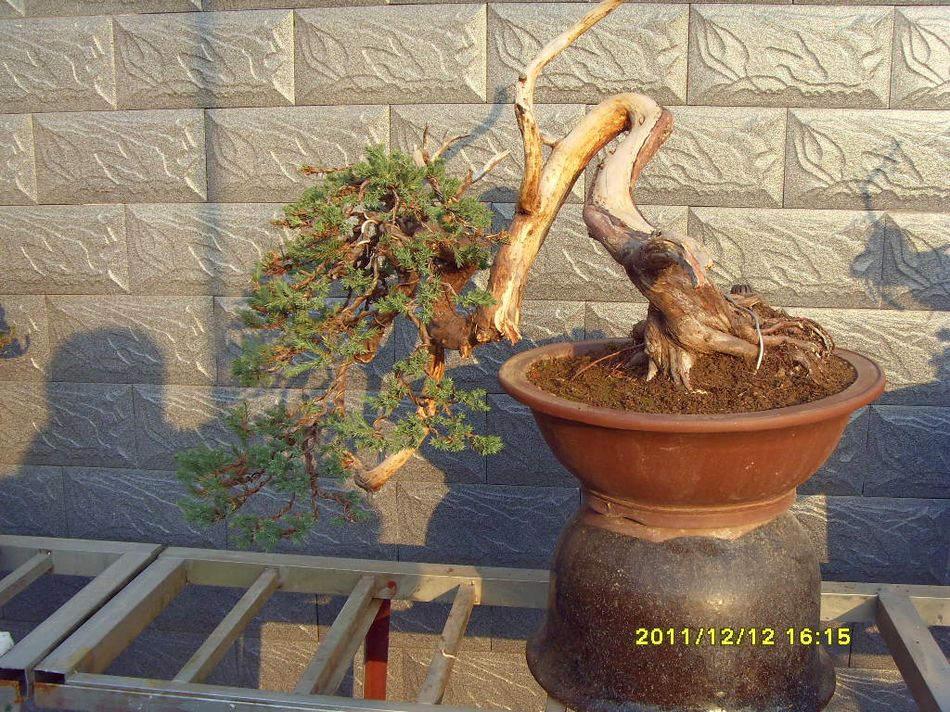 SDC12560.JPG