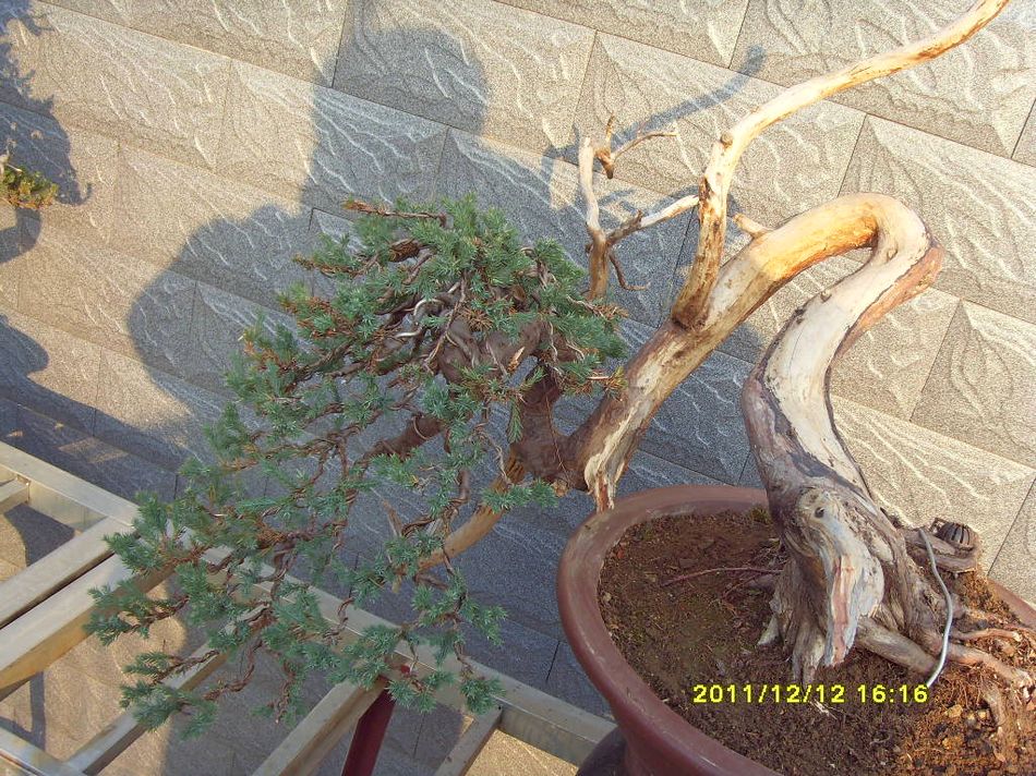 SDC12564.JPG