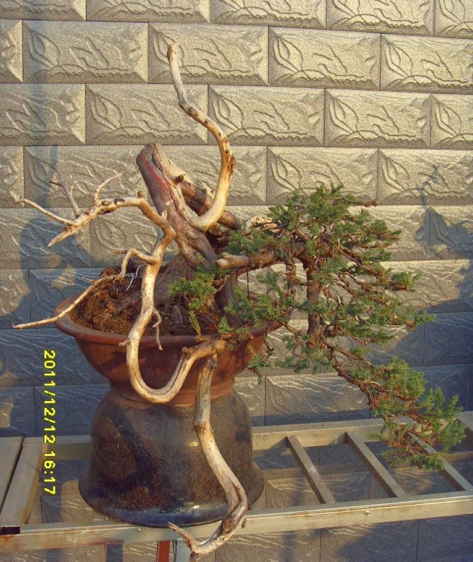 SDC12566.JPG