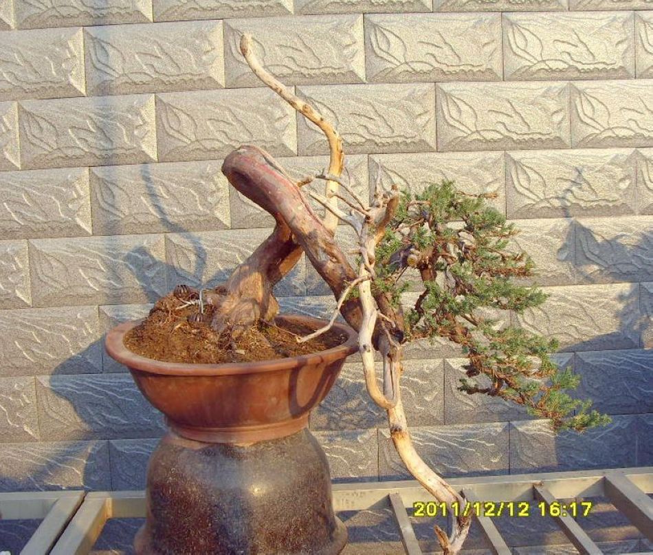 SDC12567.JPG