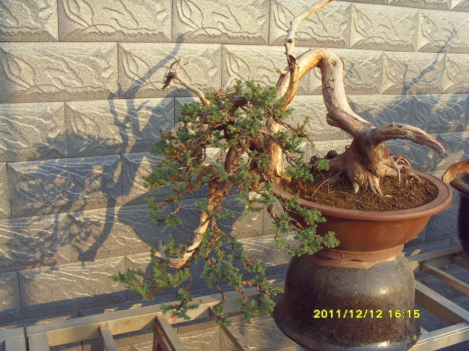 SDC12562.JPG
