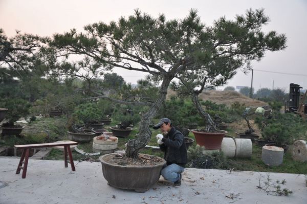 ��Ƭ 010.jpg.thumb[1].jpg