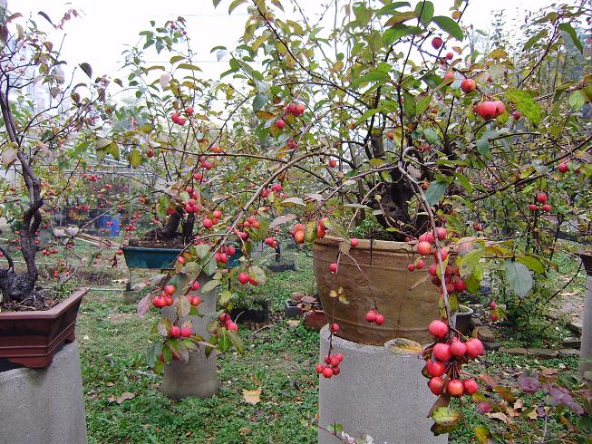 Ƭ 025.jpg