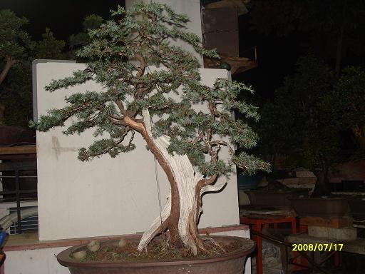 S1053720.JPG