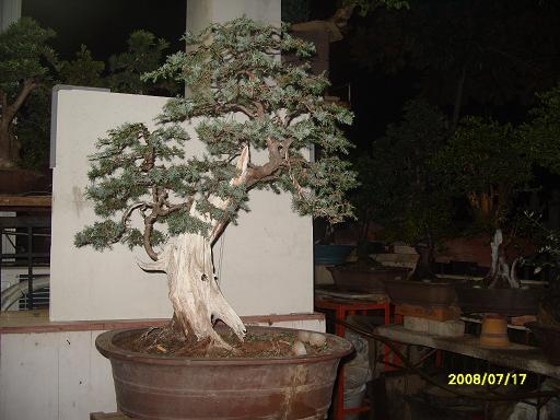 S1053716.JPG