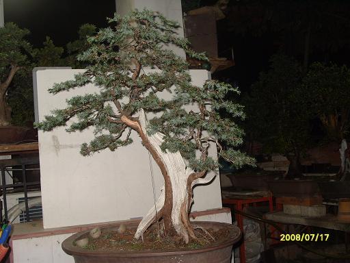 S1053714.JPG