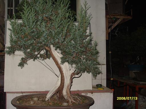 S1053710.JPG