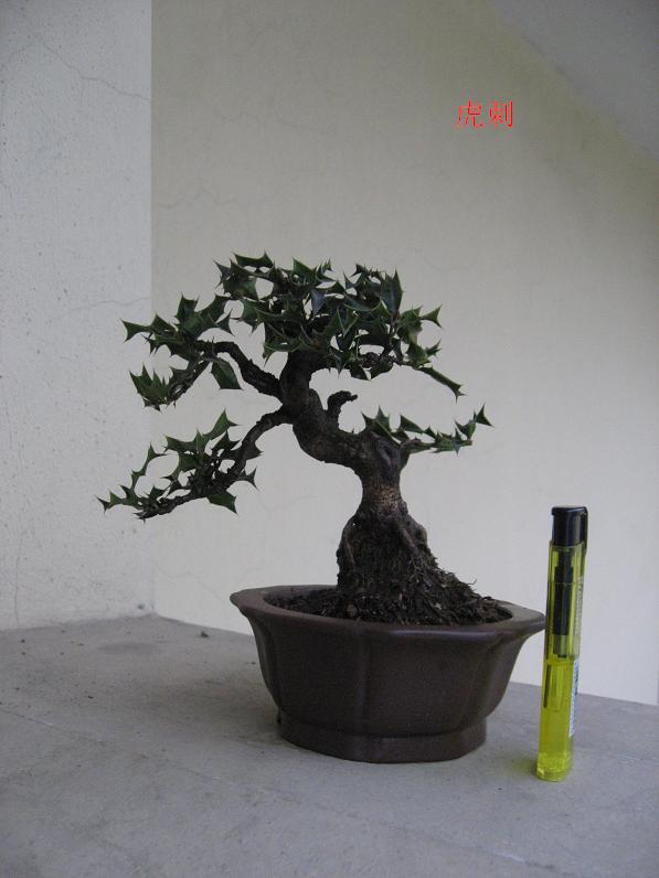 Ƭ 082.jpg
