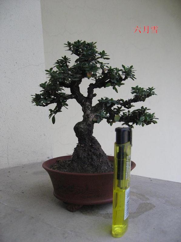 Ƭ 084.jpg