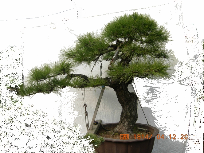 DSCN4728.JPG