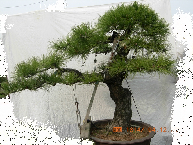 DSCN4729.JPG