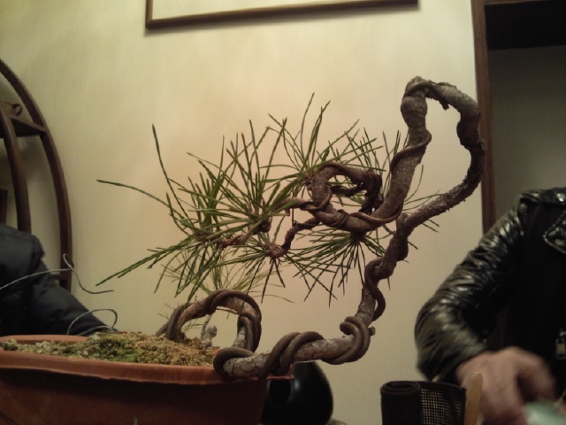 Ƭ056.jpg