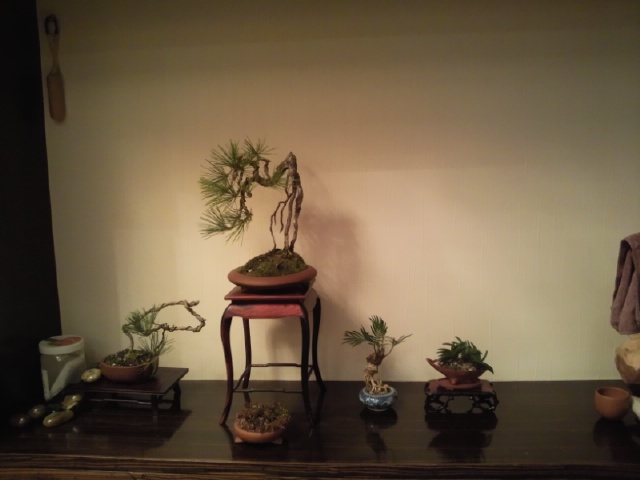 Ƭ022.jpg