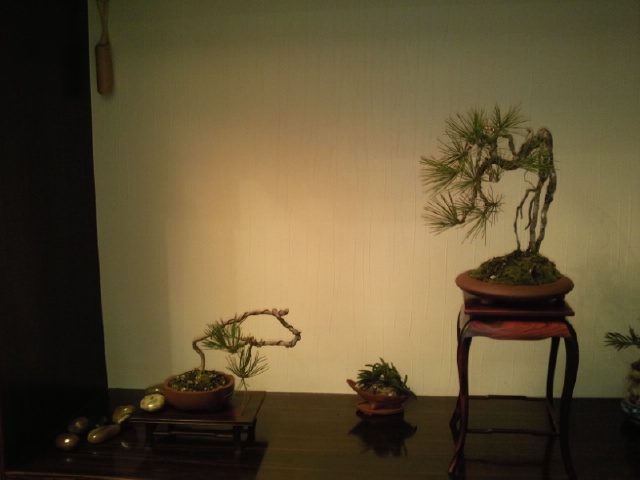 Ƭ024.jpg