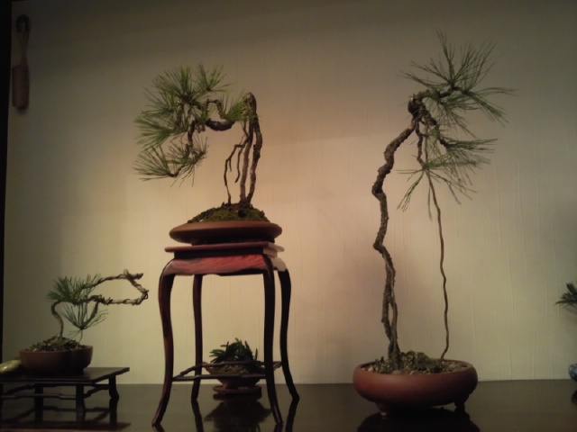 Ƭ029.jpg
