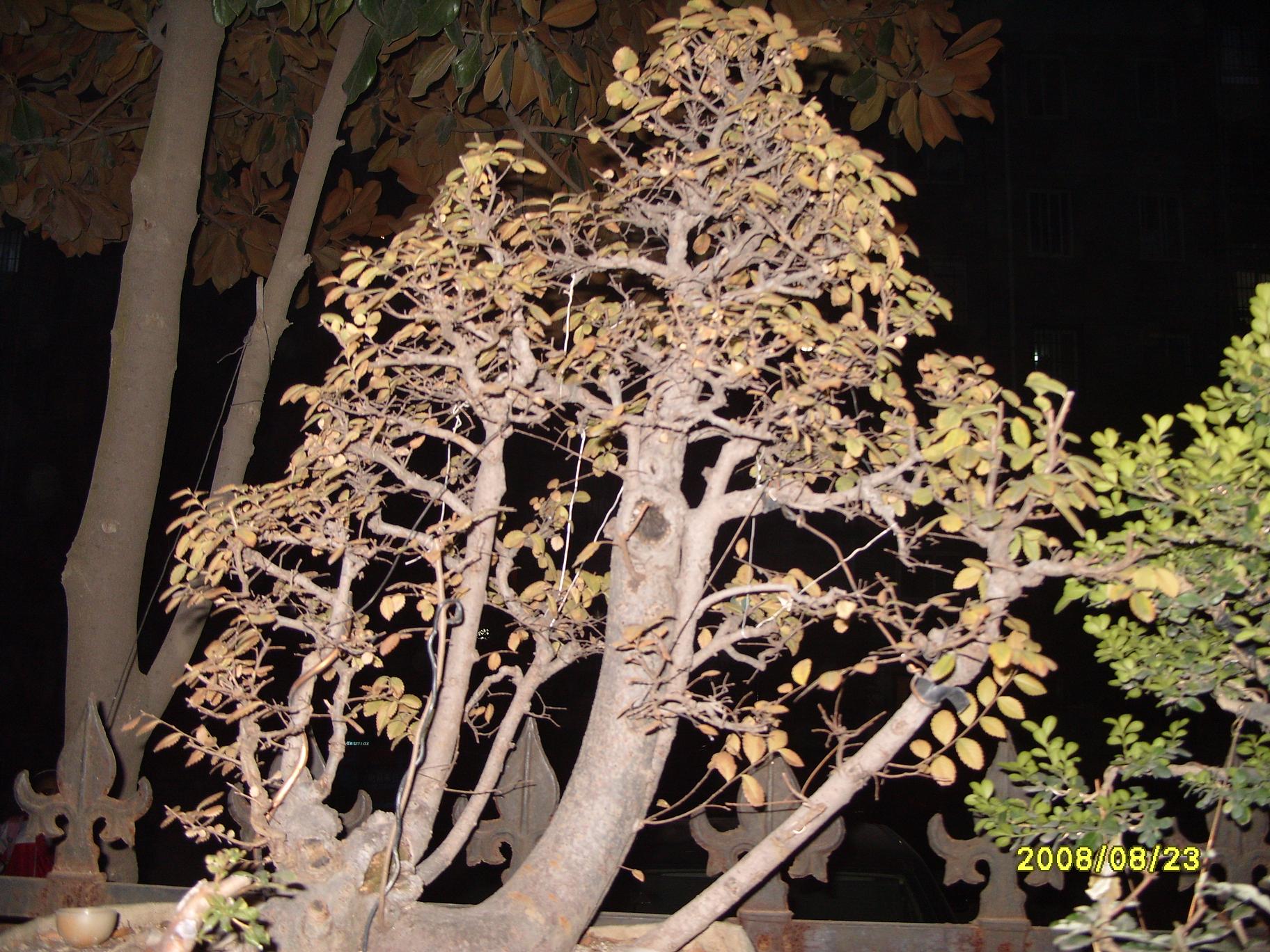 S1053996.JPG