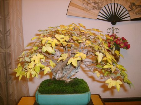 S5003236.JPG
